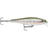 Воблер RAPALA BX Minnow BXM07-RT