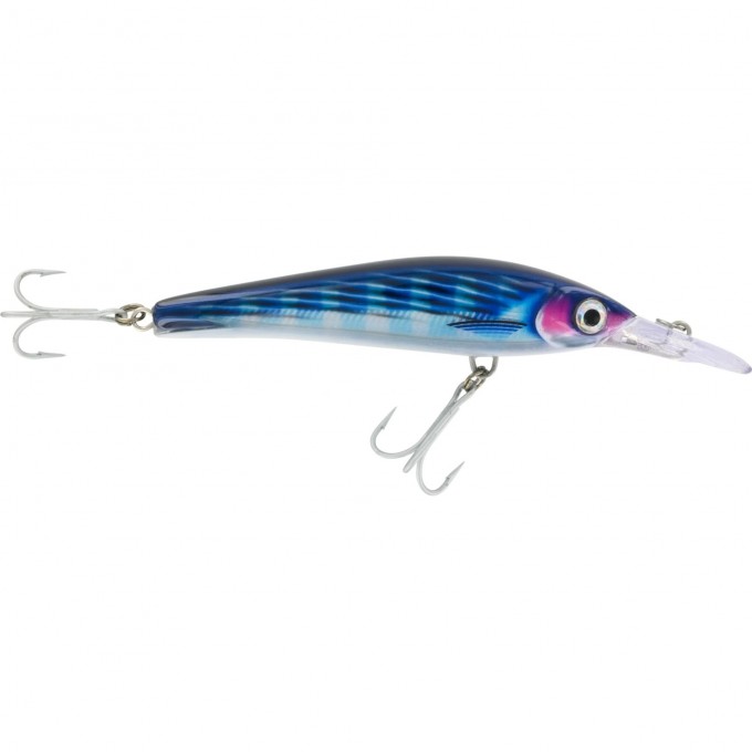 Воблер RAPALA X-Rap Magnum Xtreme 160 /HDBTO XRMAGXT160-HDBTO