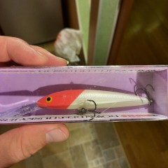 Воблер RAPALA Downdeep Husky Jerk DHJ10-RH