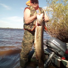 Воблер RAPALA X-Rap Jointed Shad XJS13-FT